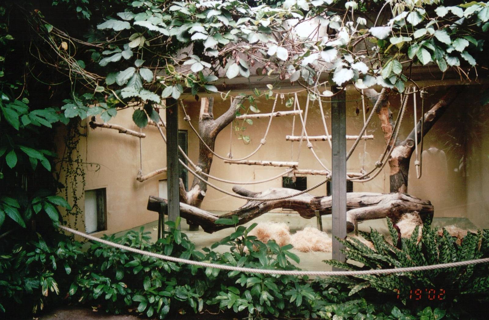 Cologne Zoo 2002 - Another ndoor exhibit in the Ape House