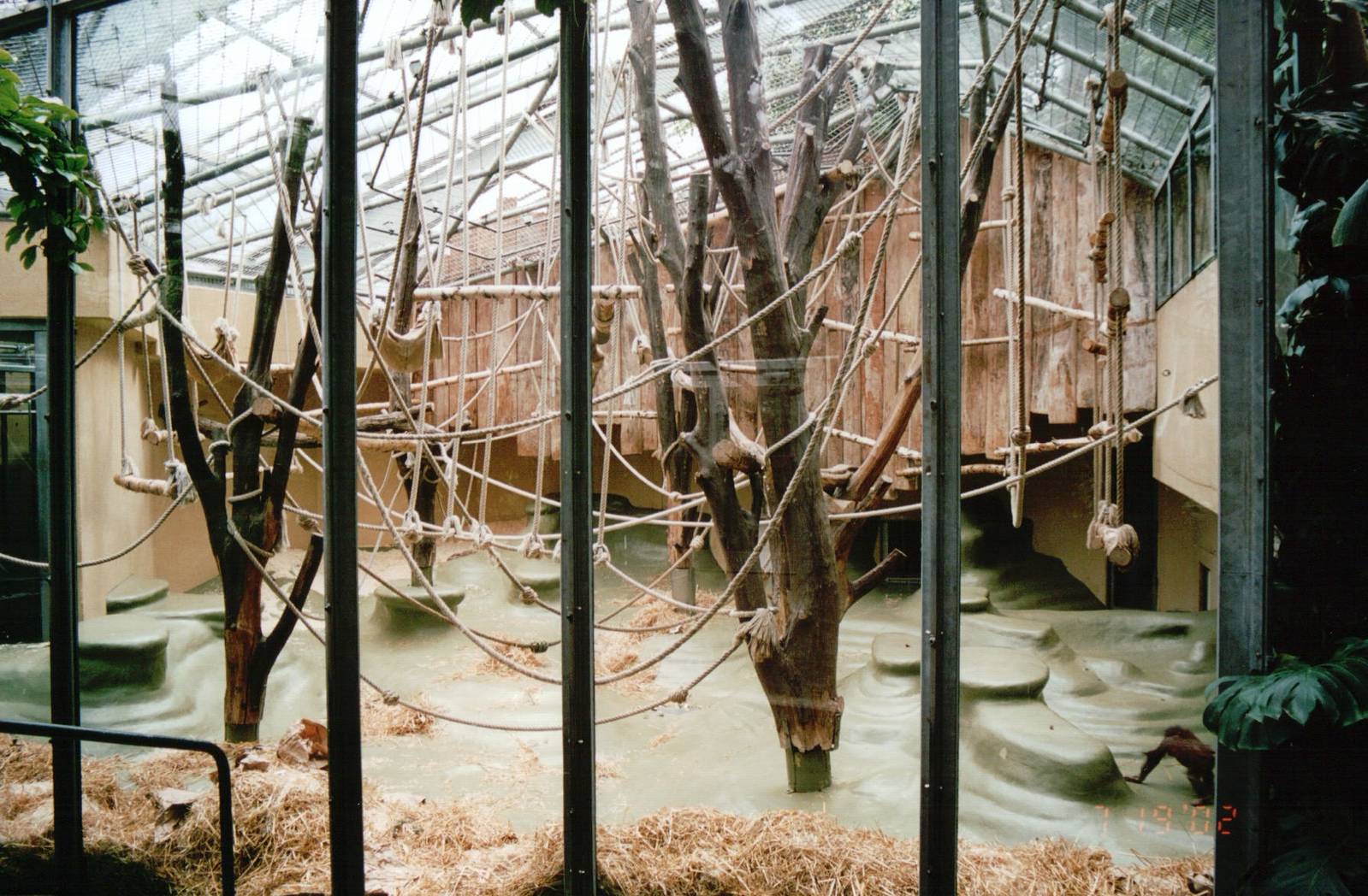 Cologne Zoo 2002 - Indoor exhibit in the Ape House