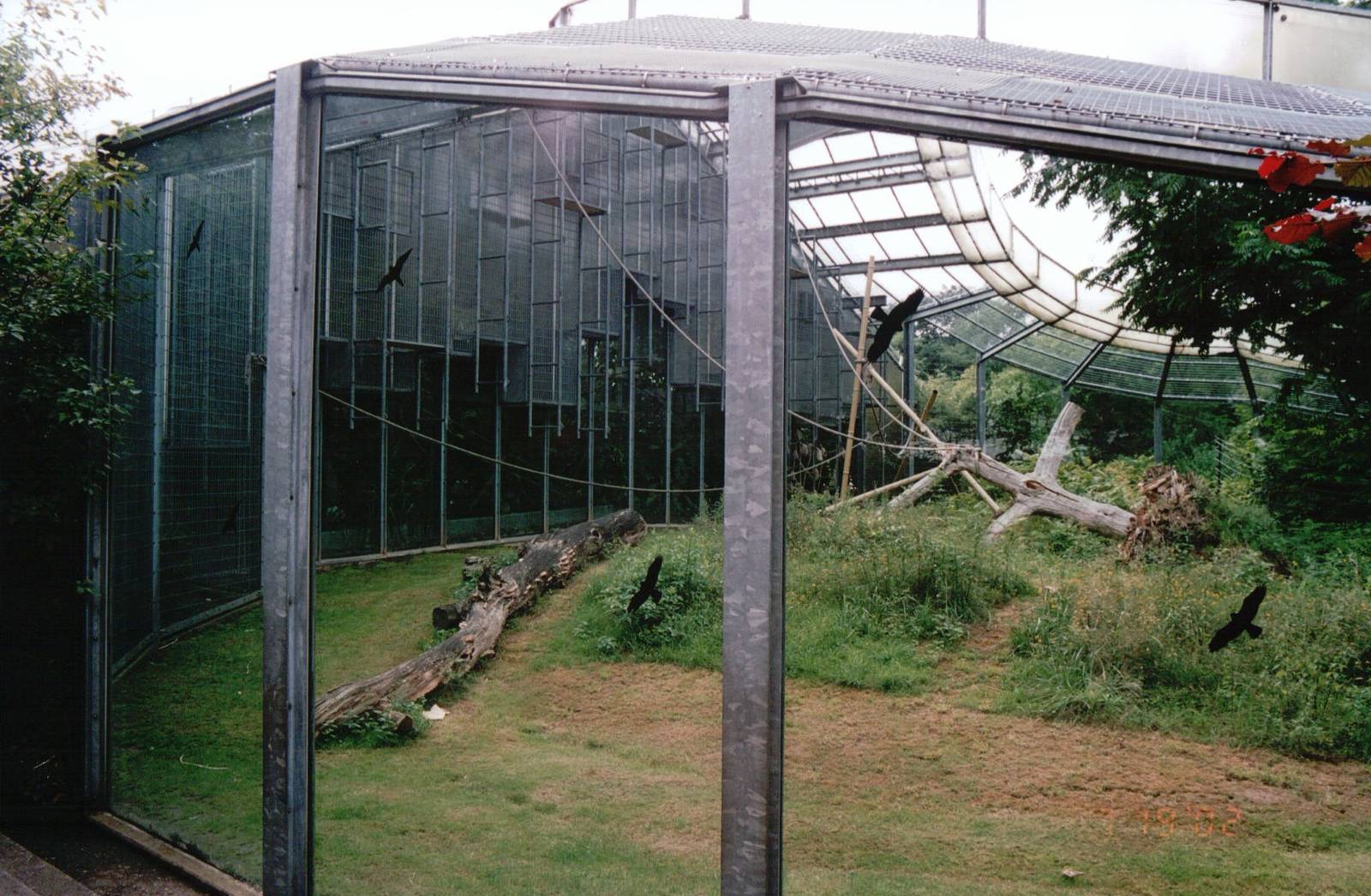Cologne Zoo 2002 - Part of the Gorilla outdoor exhibit at the Ape House