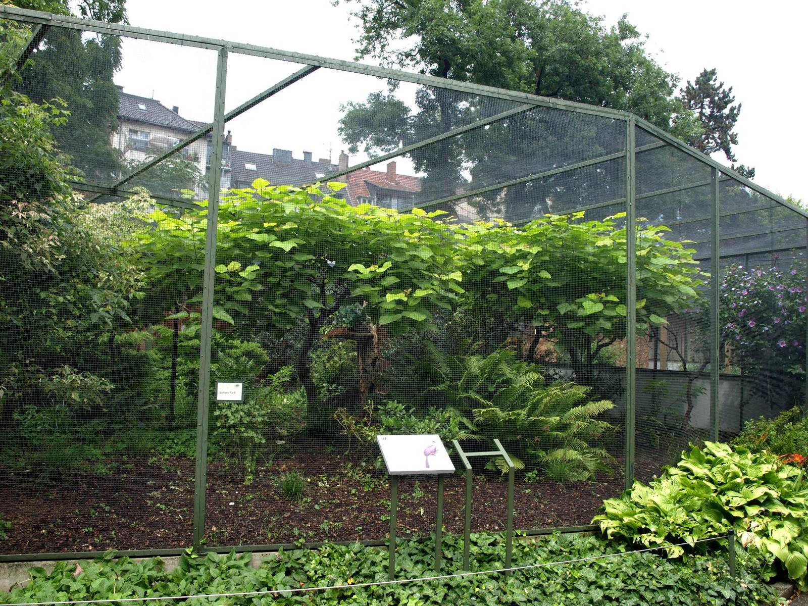 Cologne Zoo - African rainforest aviary
