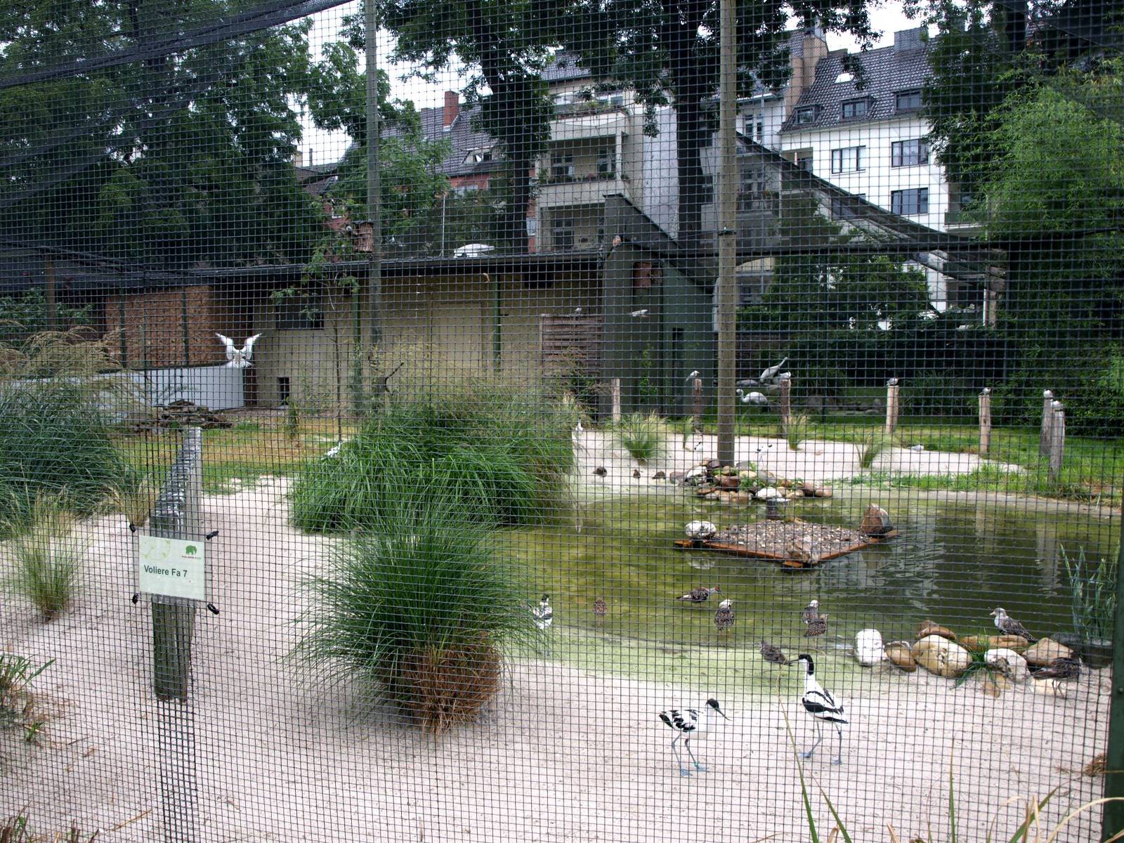 Cologne Zoo - Beach aviary