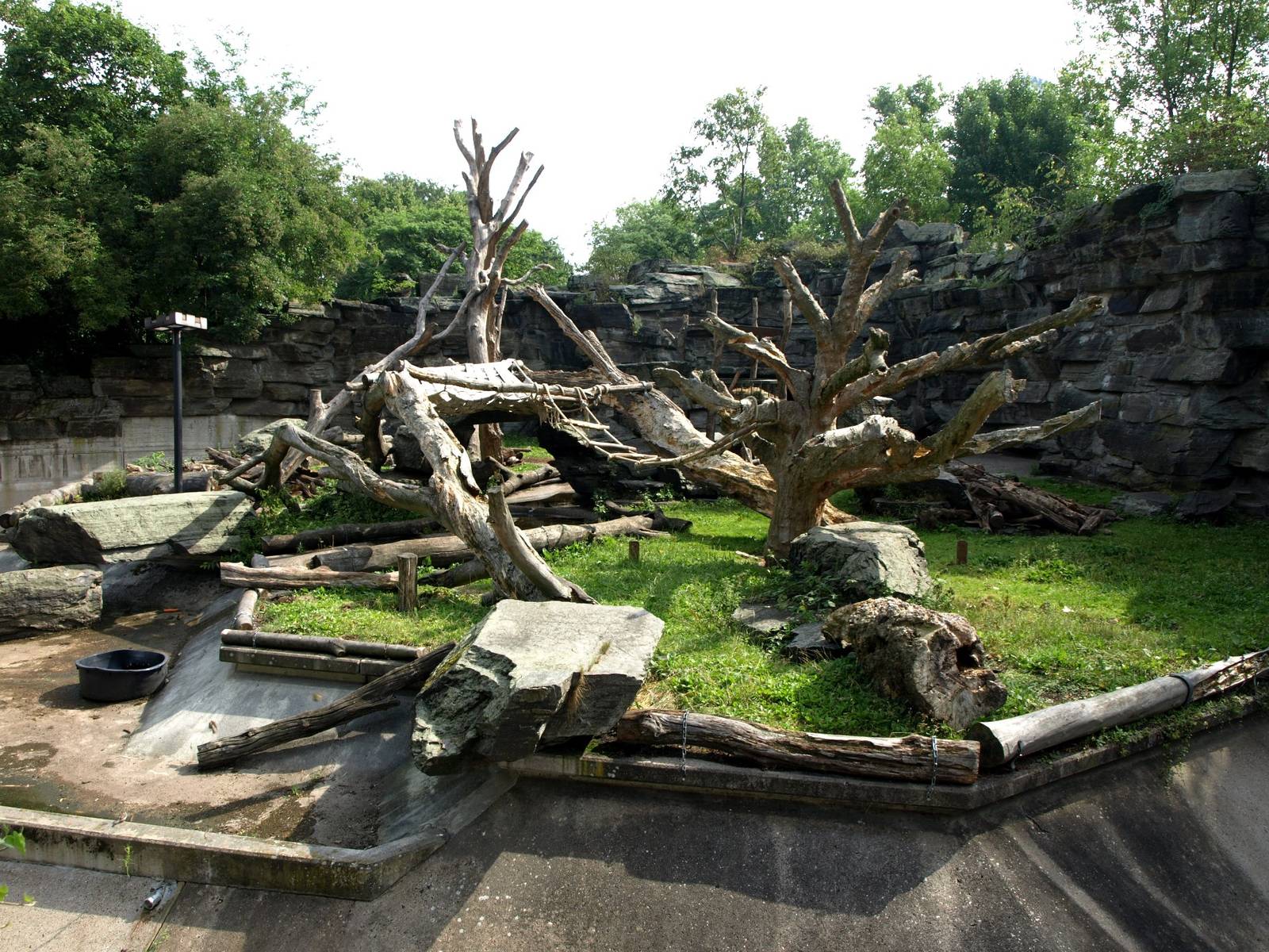 Cologne Zoo - Bear Grotto