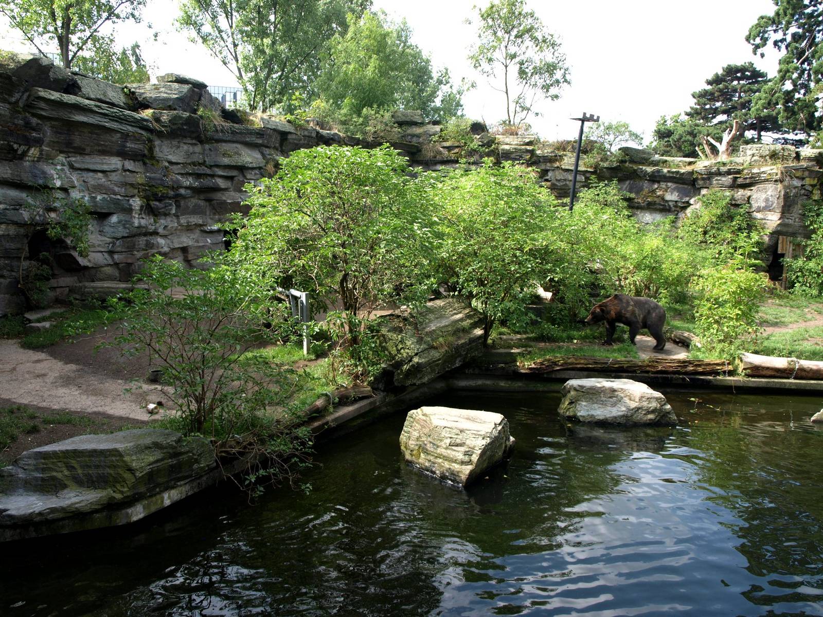 Cologne Zoo - Bear Grotto