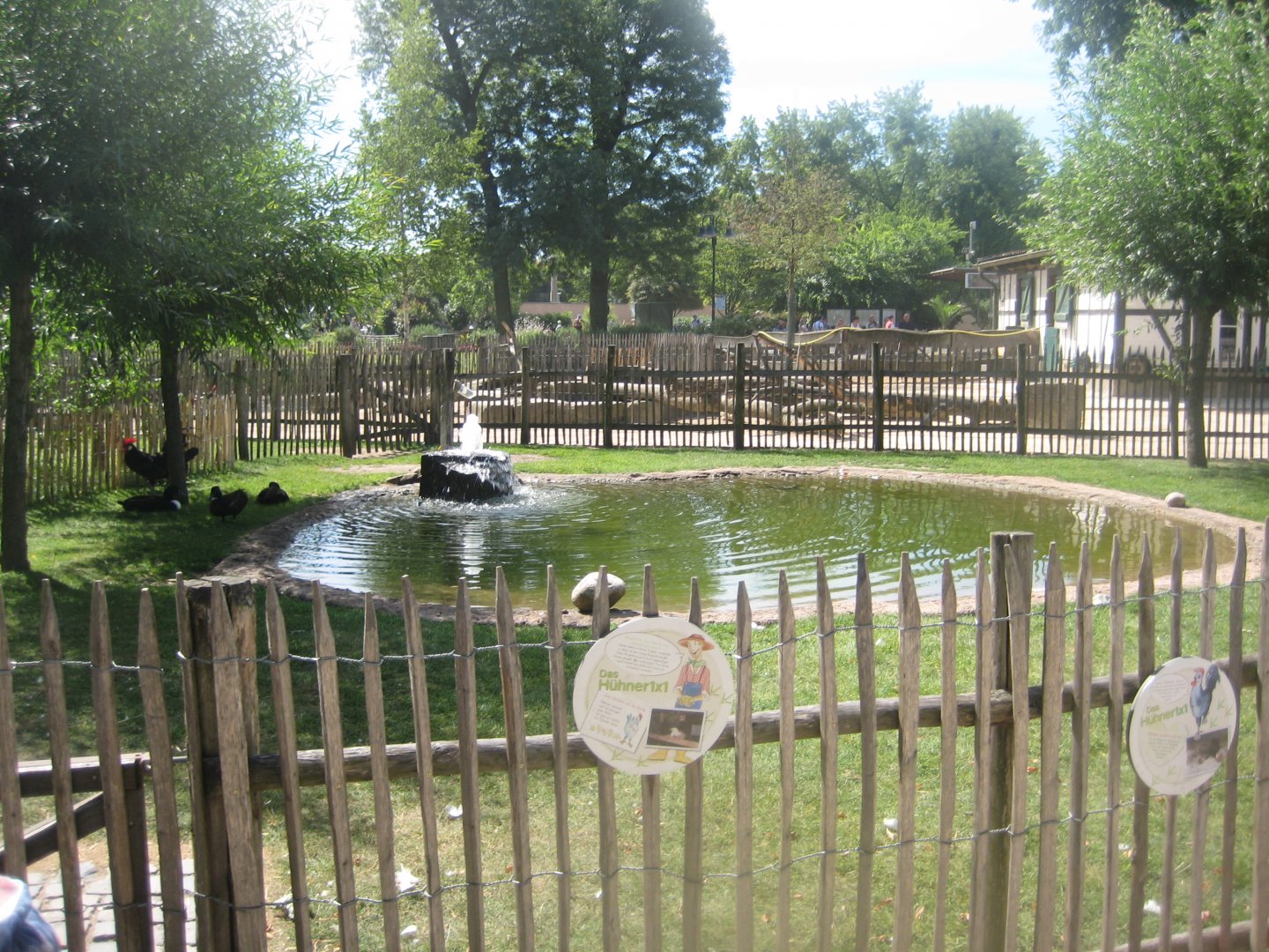 Cologne Zoo - Clemenshof - Chicken/duck exhibit