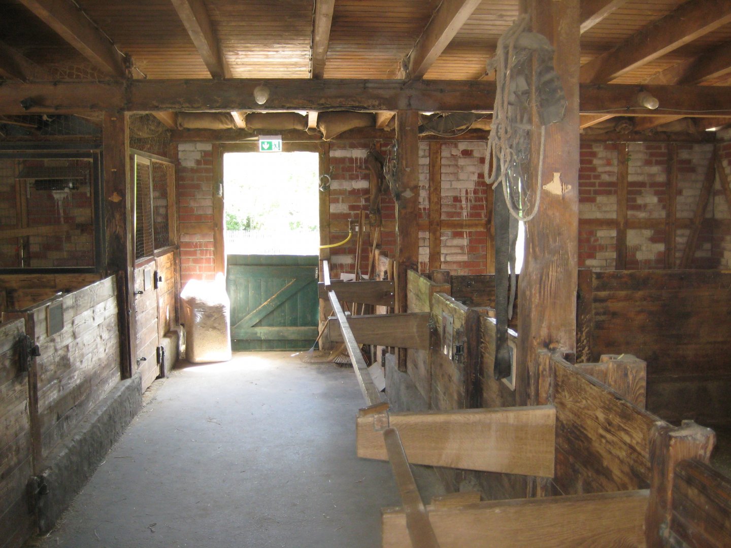 Cologne Zoo - Clemenshof - Stable