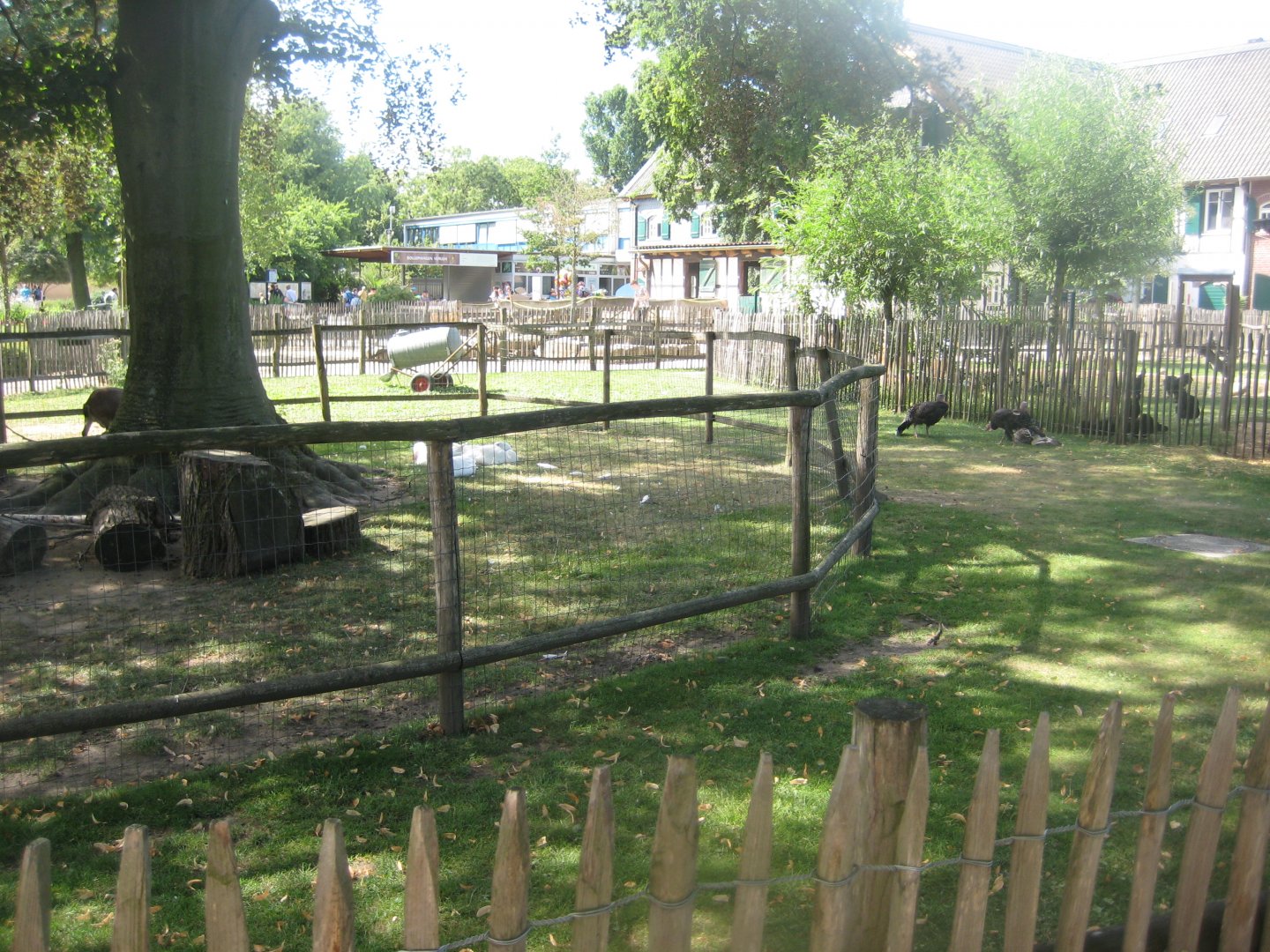 Cologne Zoo - Clemenshof - Turkey/goose exhibits