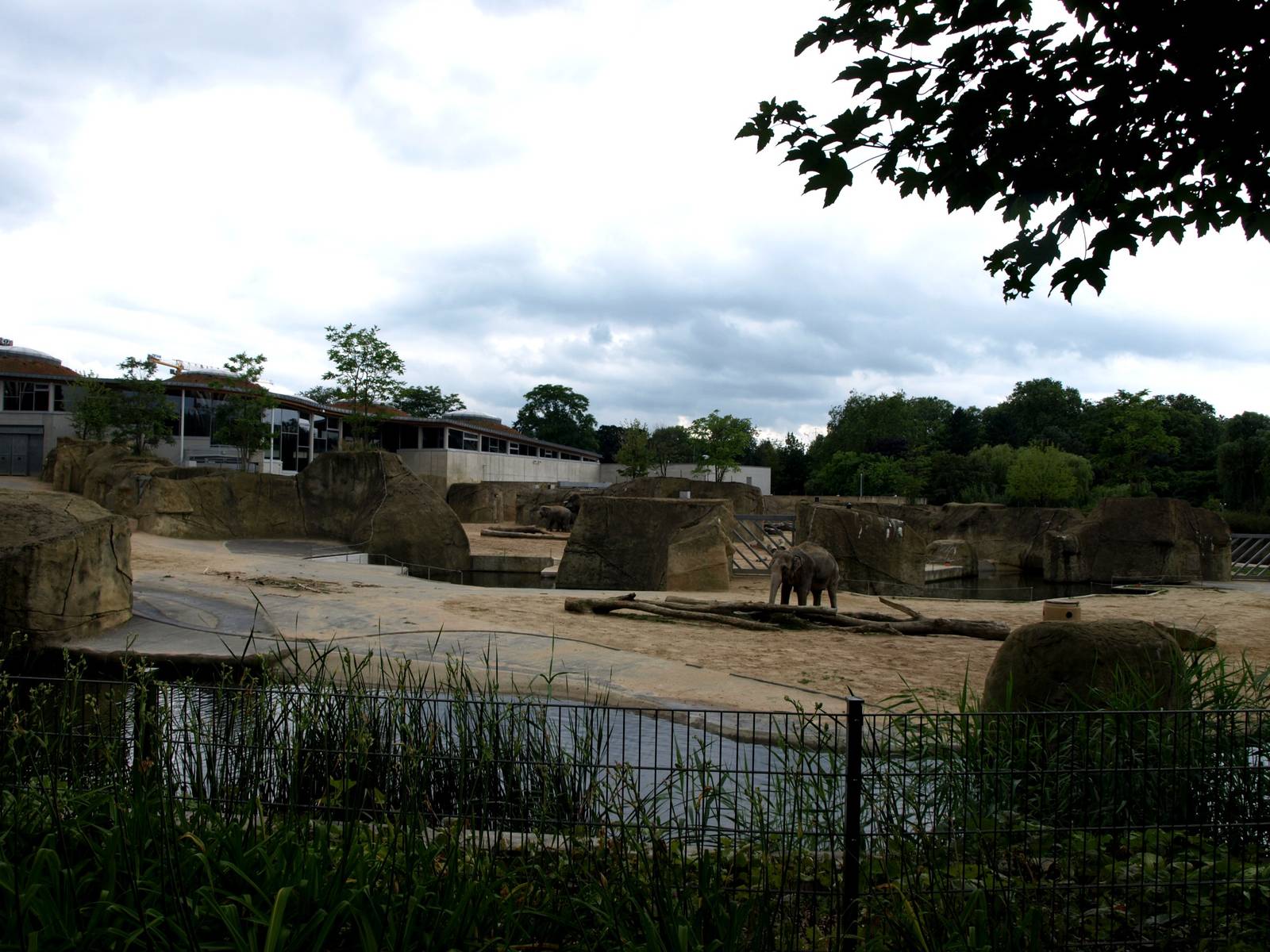 Cologne Zoo - Elefantenpark