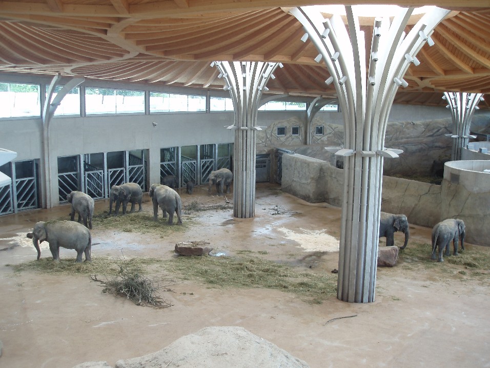 Cologne Zoo - Elephant House