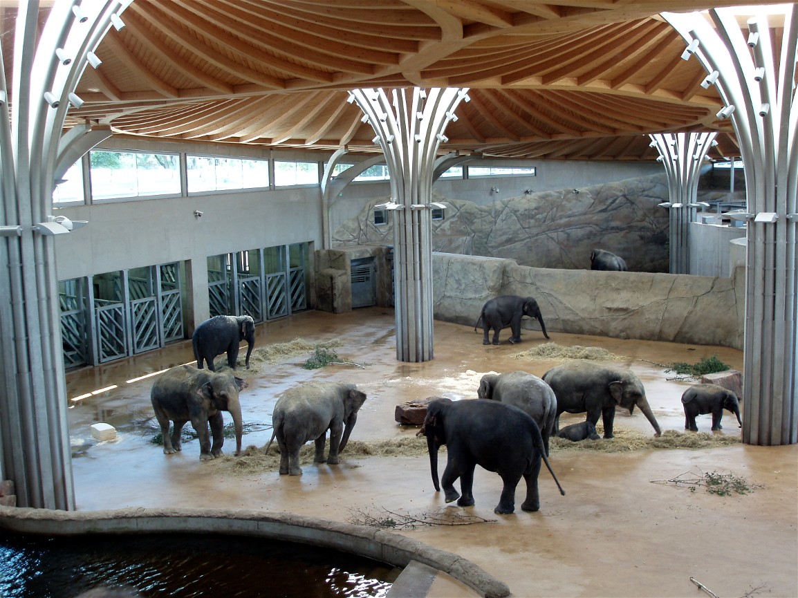 Cologne Zoo - Elephant Park