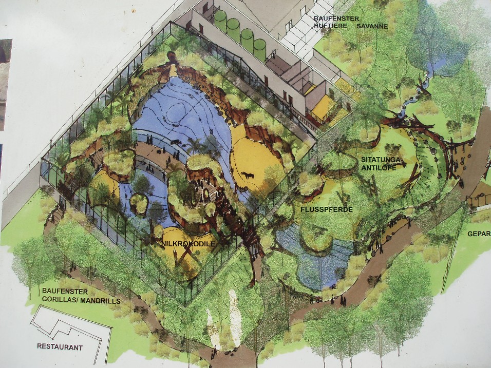 Cologne Zoo - Future Hippo House