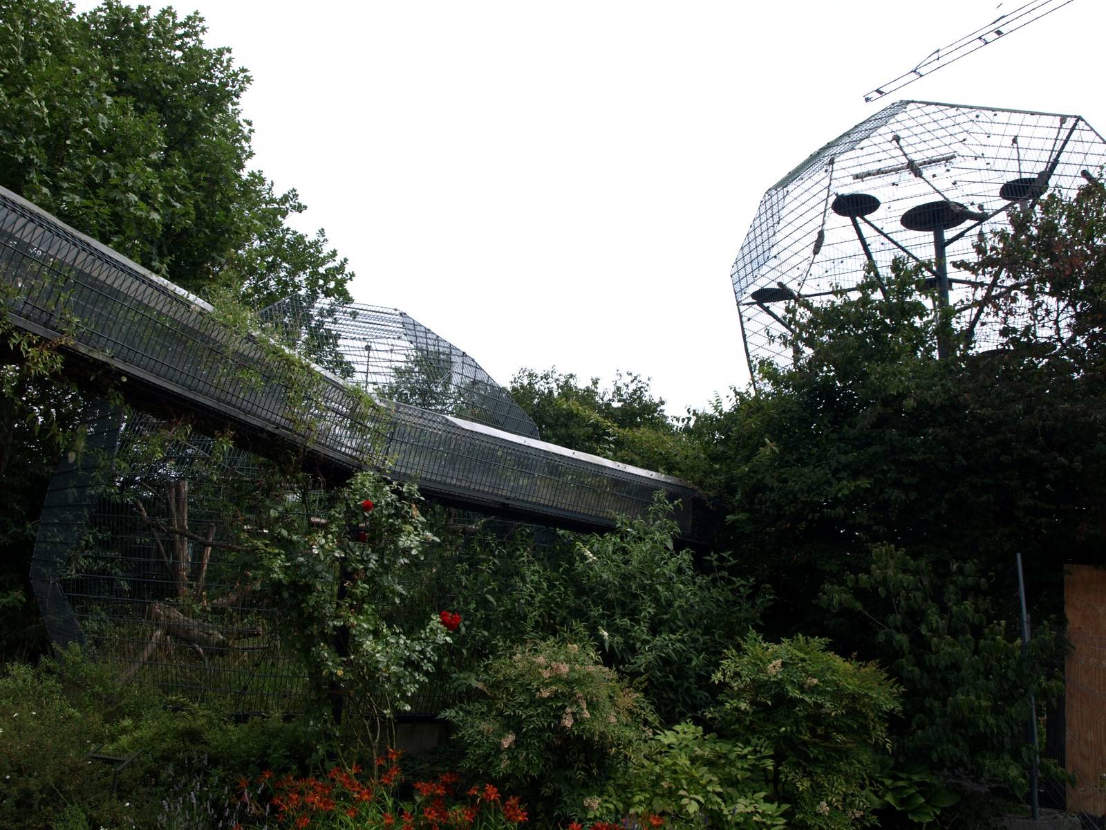 Cologne Zoo - Lemur cages