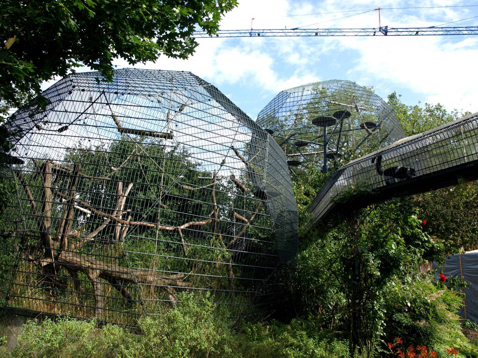 Cologne Zoo - Lemur cages