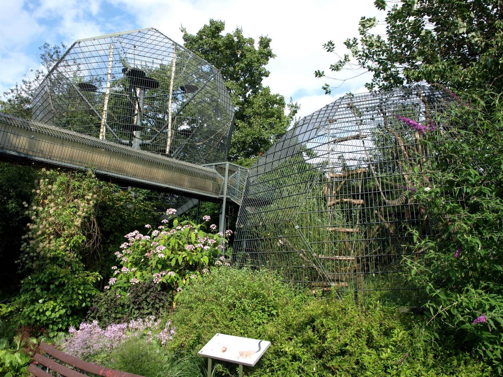Cologne Zoo - Lemur cages