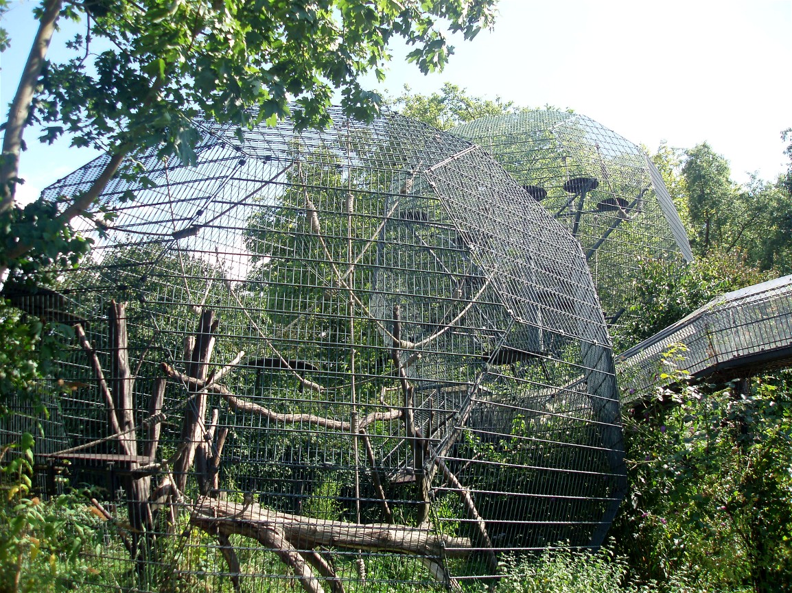Cologne Zoo - Lemur exhibits