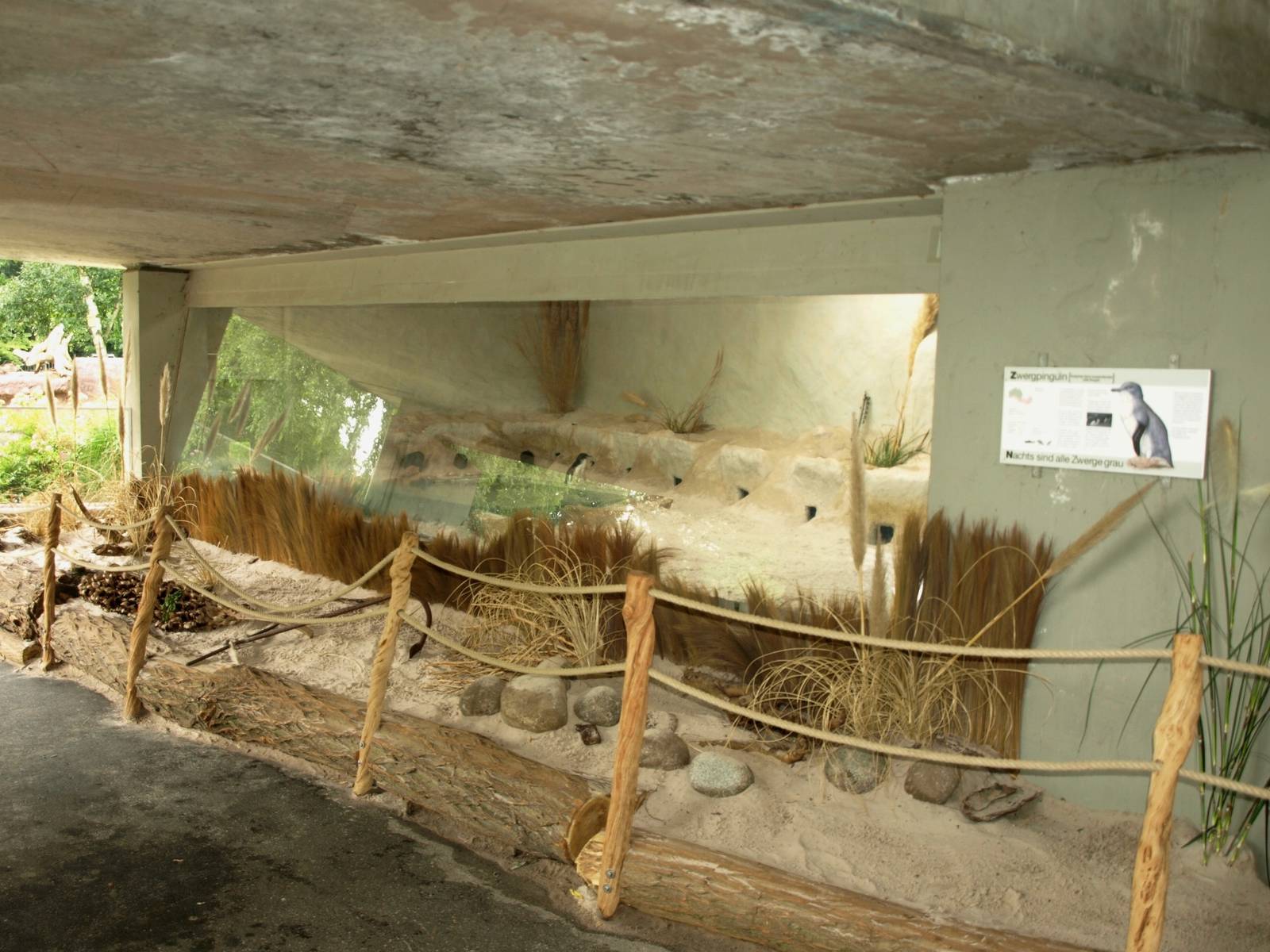Cologne Zoo - Little penguin exhibit