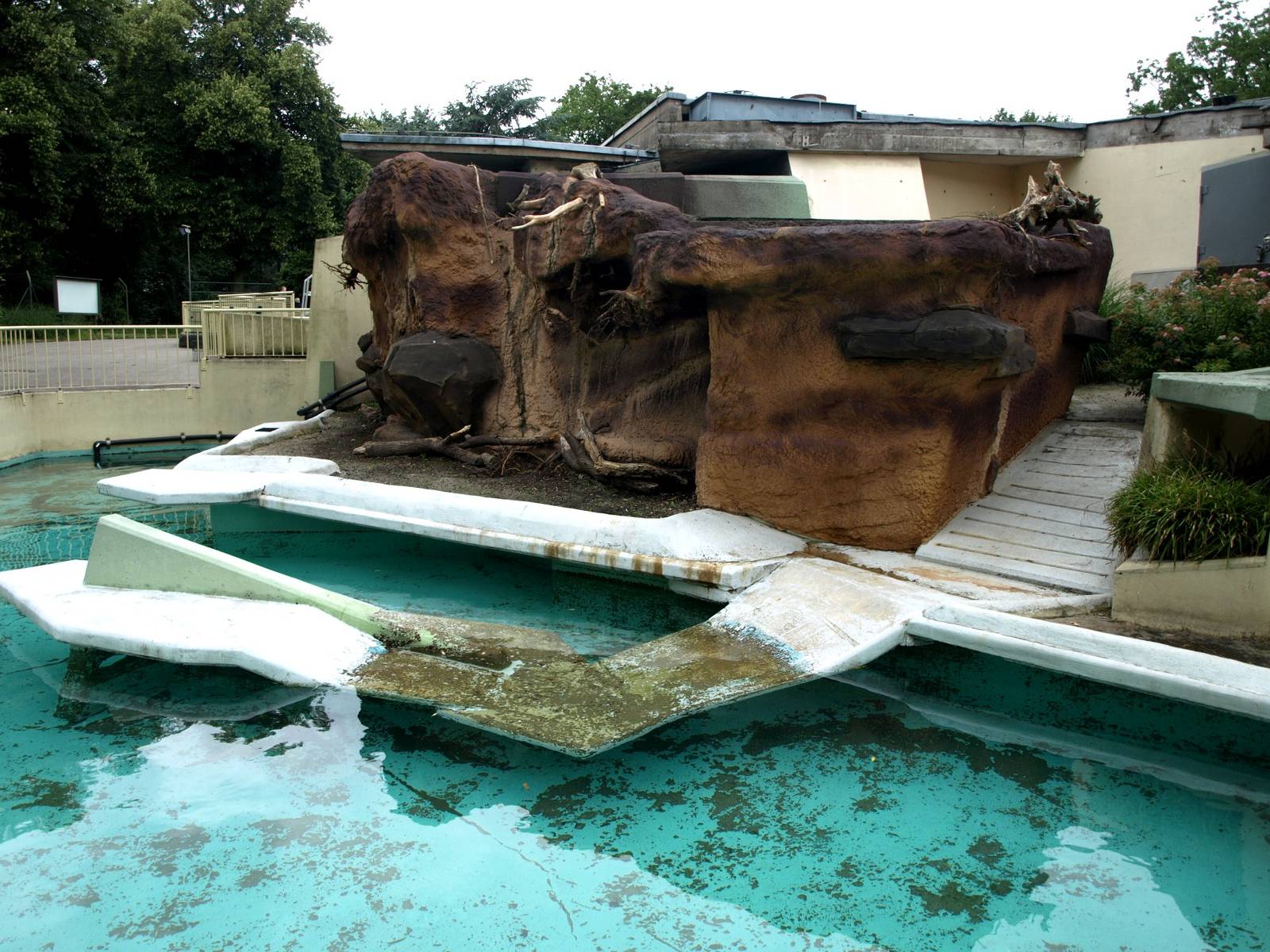 Cologne Zoo - Little penguin exhibit