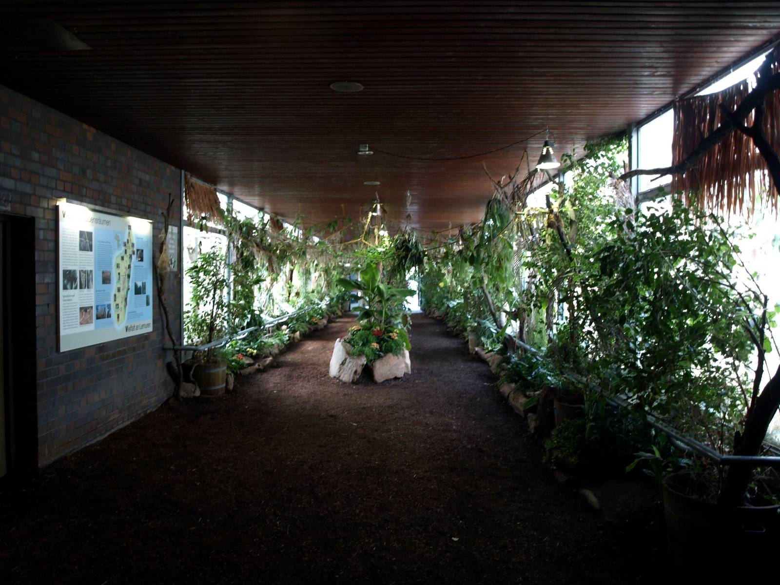 Cologne Zoo - Madagascar House