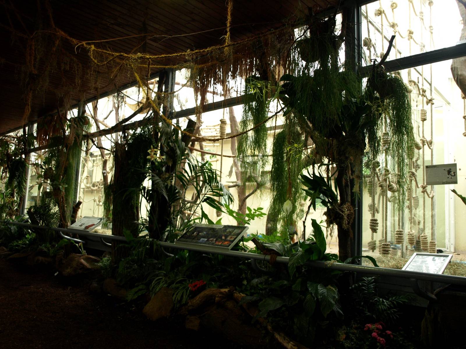 Cologne Zoo - Madagascar House