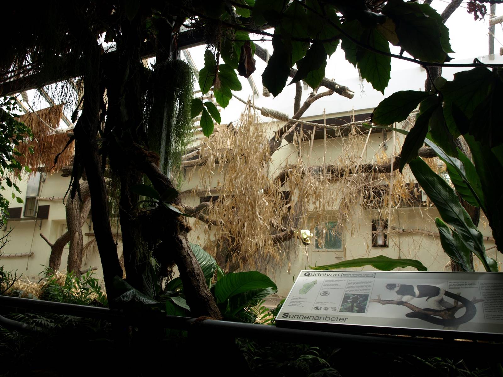 Cologne Zoo - Madagascar House