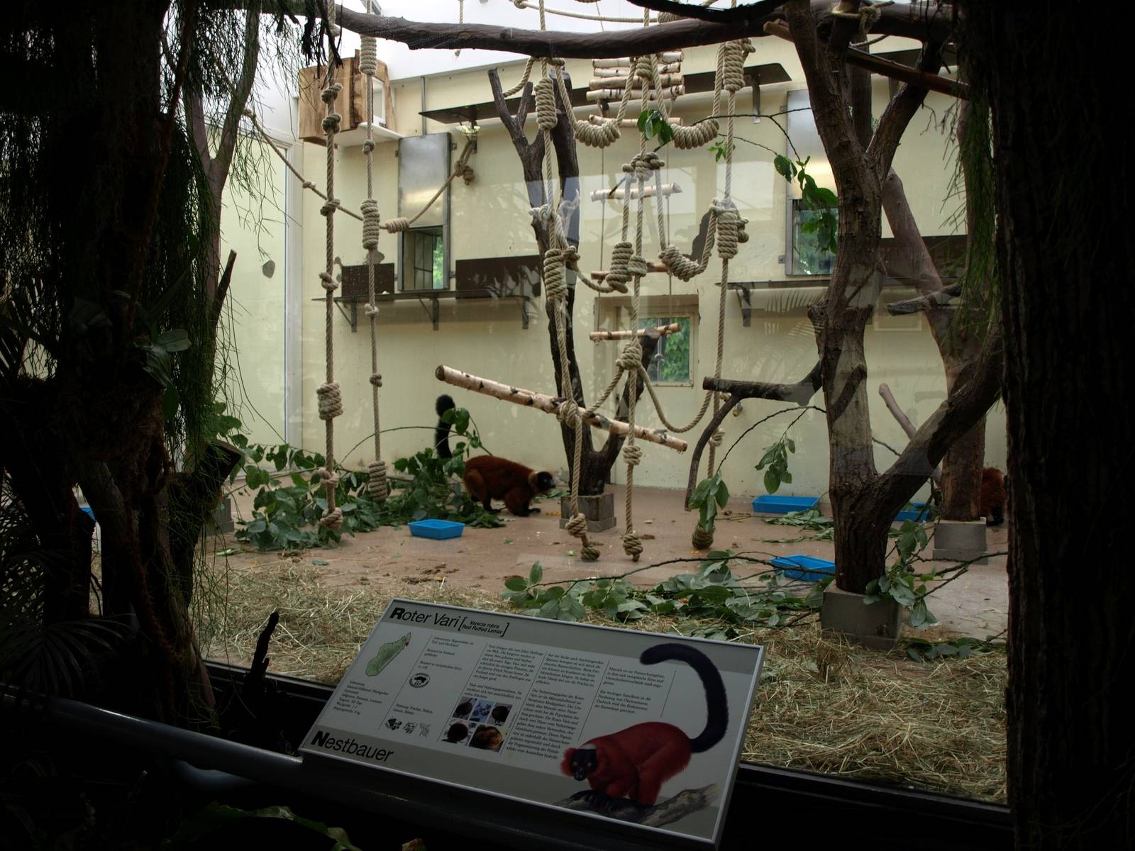 Cologne Zoo - Madagascar House