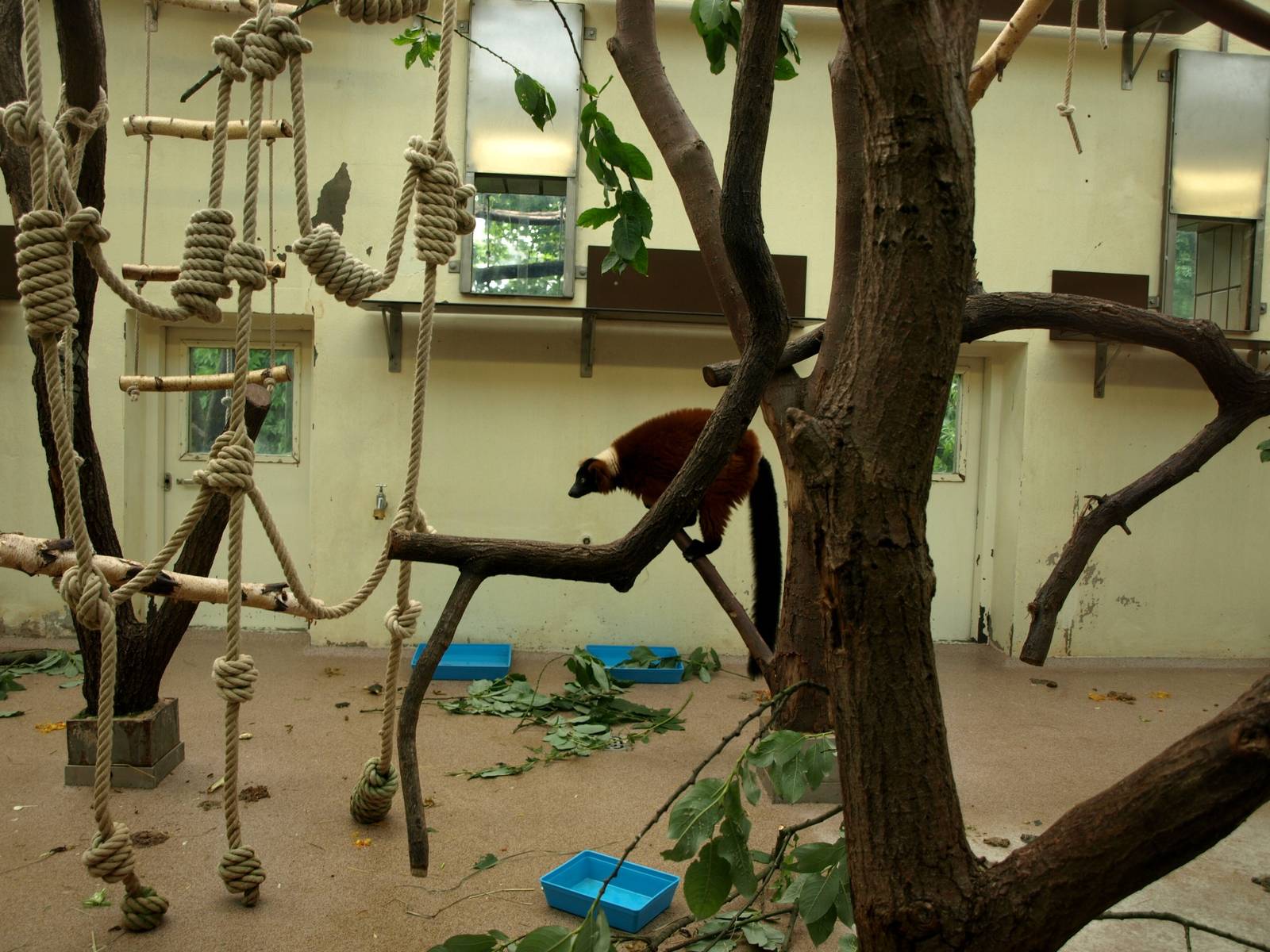 Cologne Zoo - Madagascar House