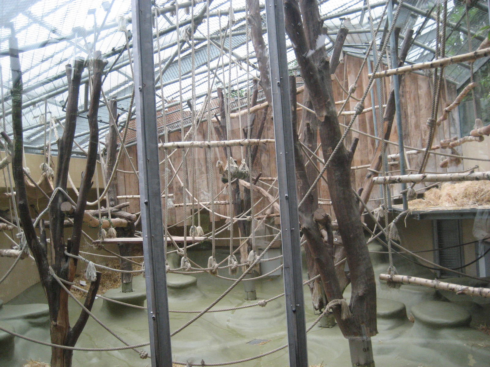 Cologne Zoo - Monkey house