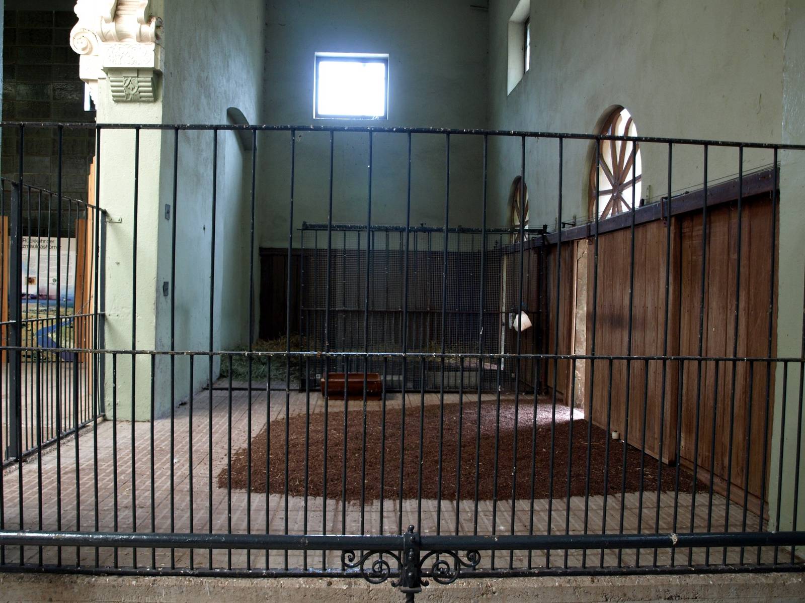 Cologne Zoo - Moorish House (sitatunga)