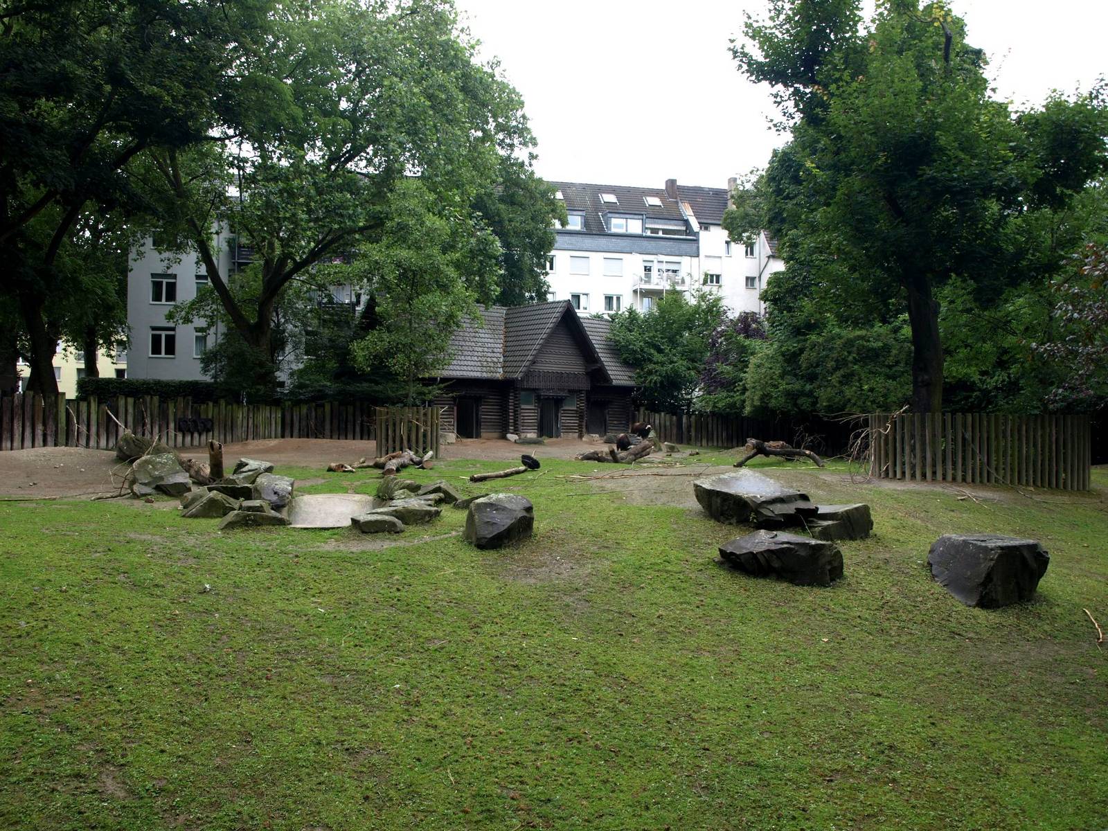 Cologne Zoo - Musk ox enclosure