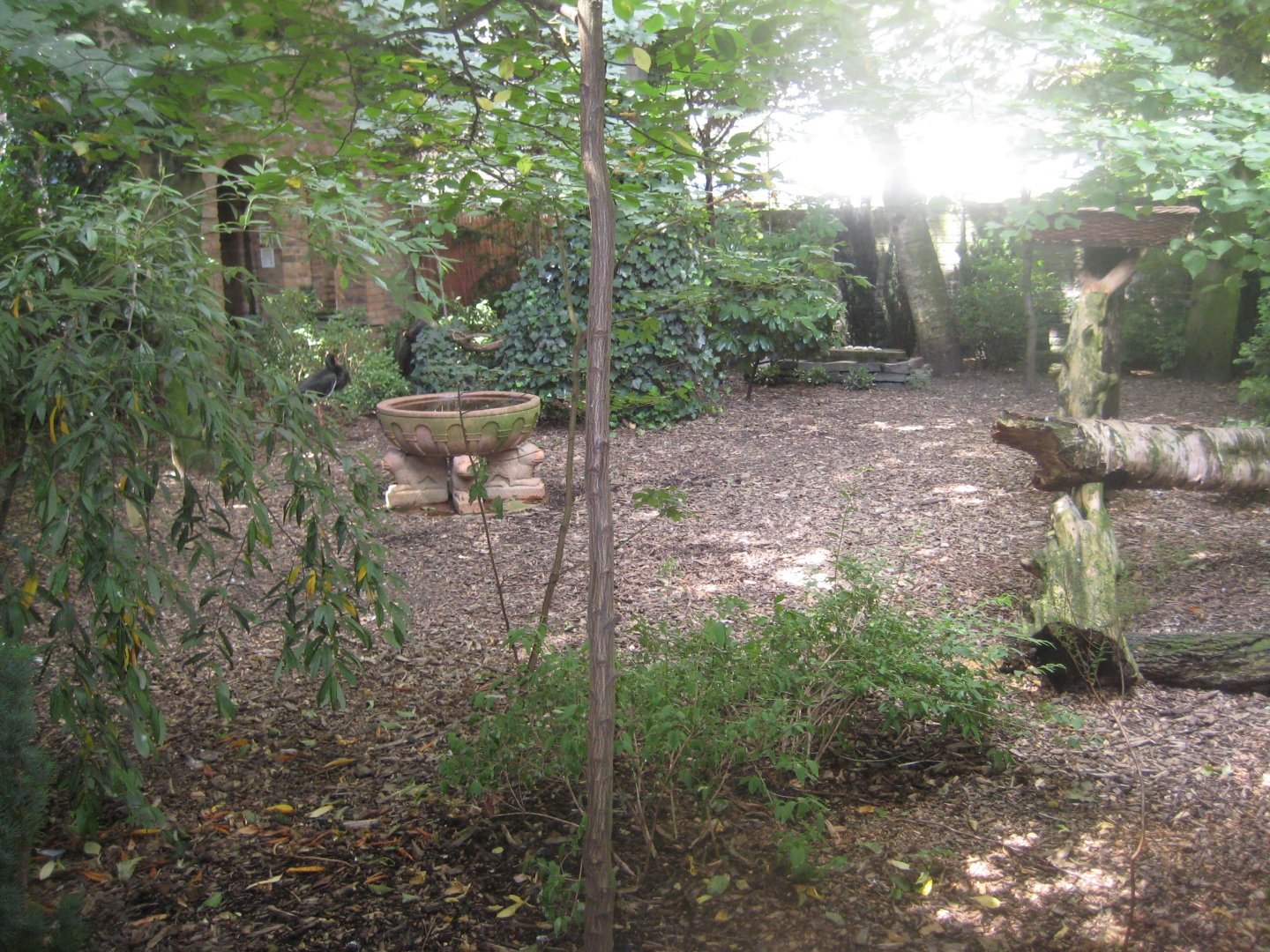 Cologne Zoo - Owl monastery