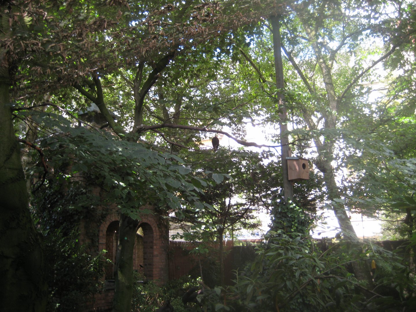 Cologne Zoo - Owl monastery