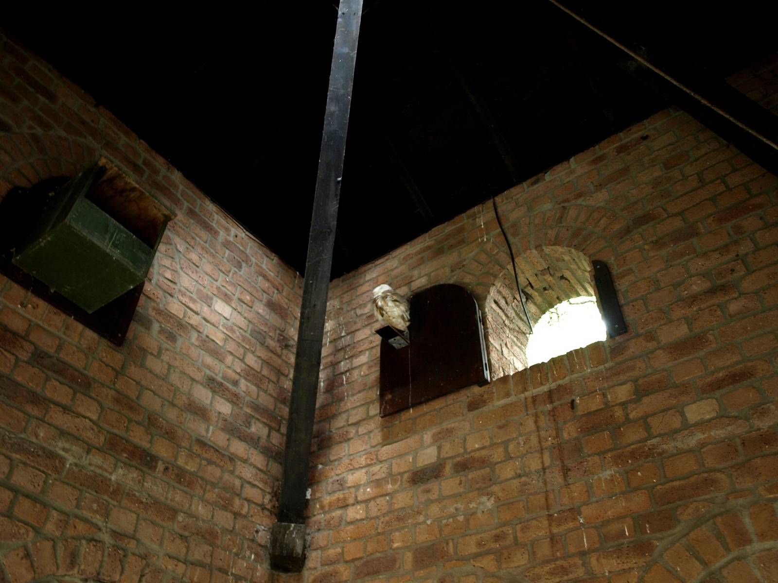 Cologne Zoo - Owl Monastery