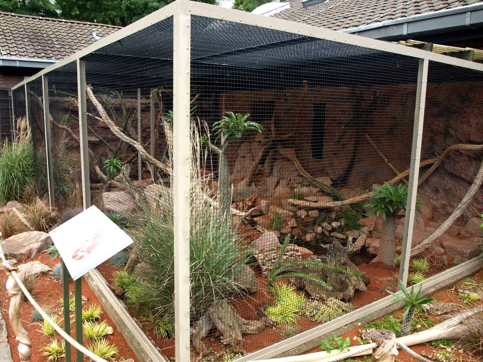 Cologne Zoo - Ring-tailed mongoose exhibit