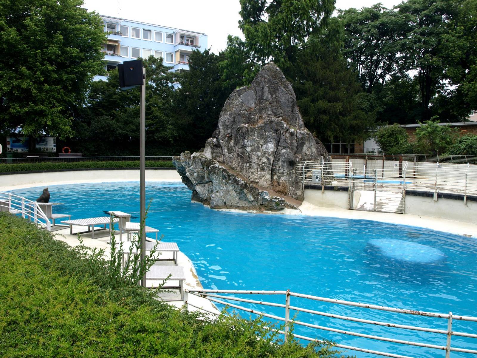 Cologne Zoo - Sea lion exhibit