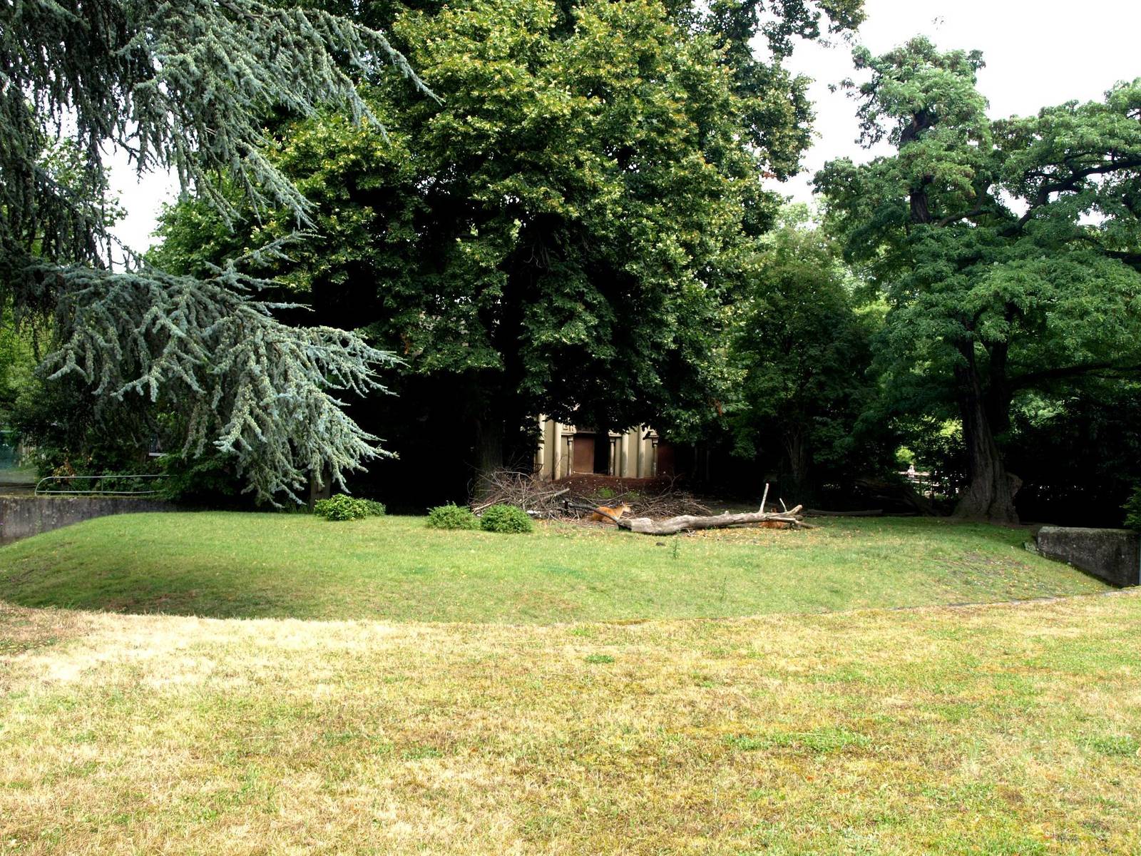 Cologne Zoo - Sitatunga exhibit