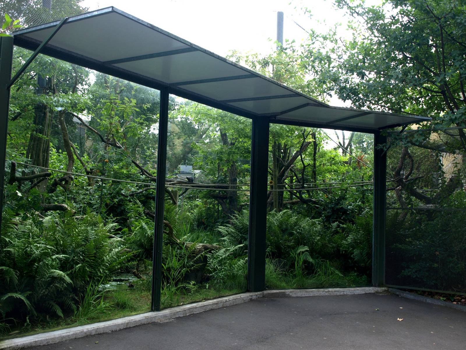 Cologne Zoo - South American primate exhibit