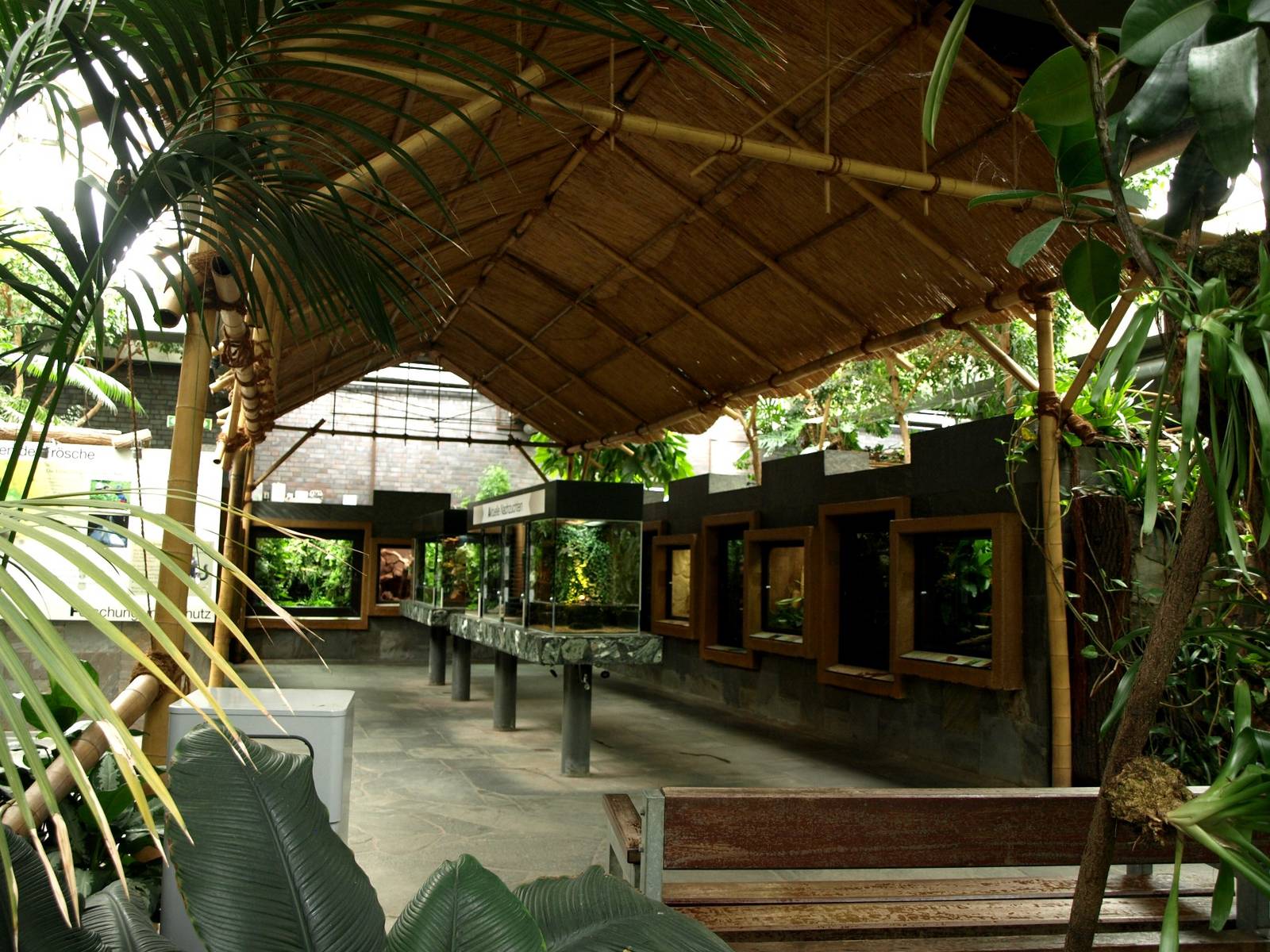 Cologne Zoo - Terrarium