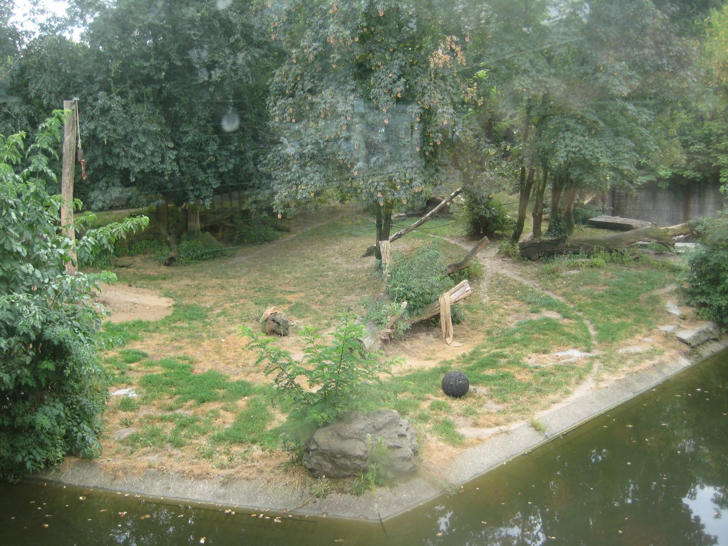 Cologne Zoo - Tiger exhibit