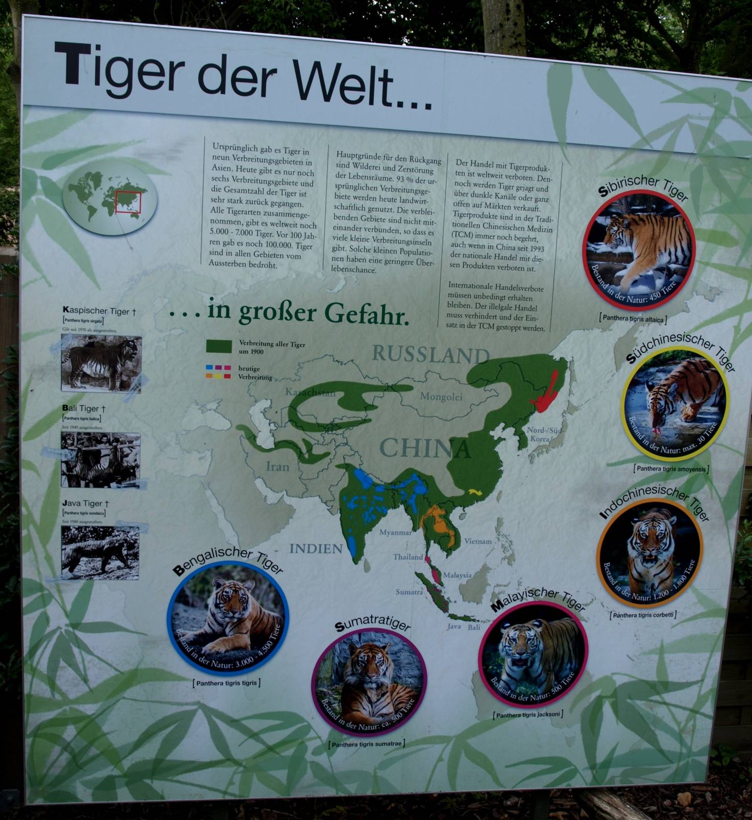 Cologne Zoo - Tiger signage