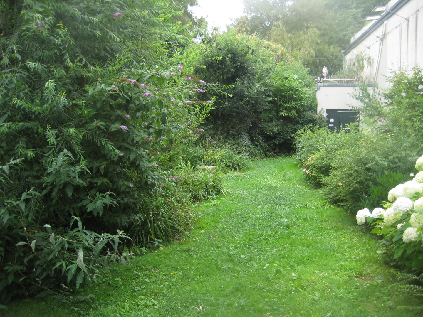 Cologne Zoo - Walkthrough aviary