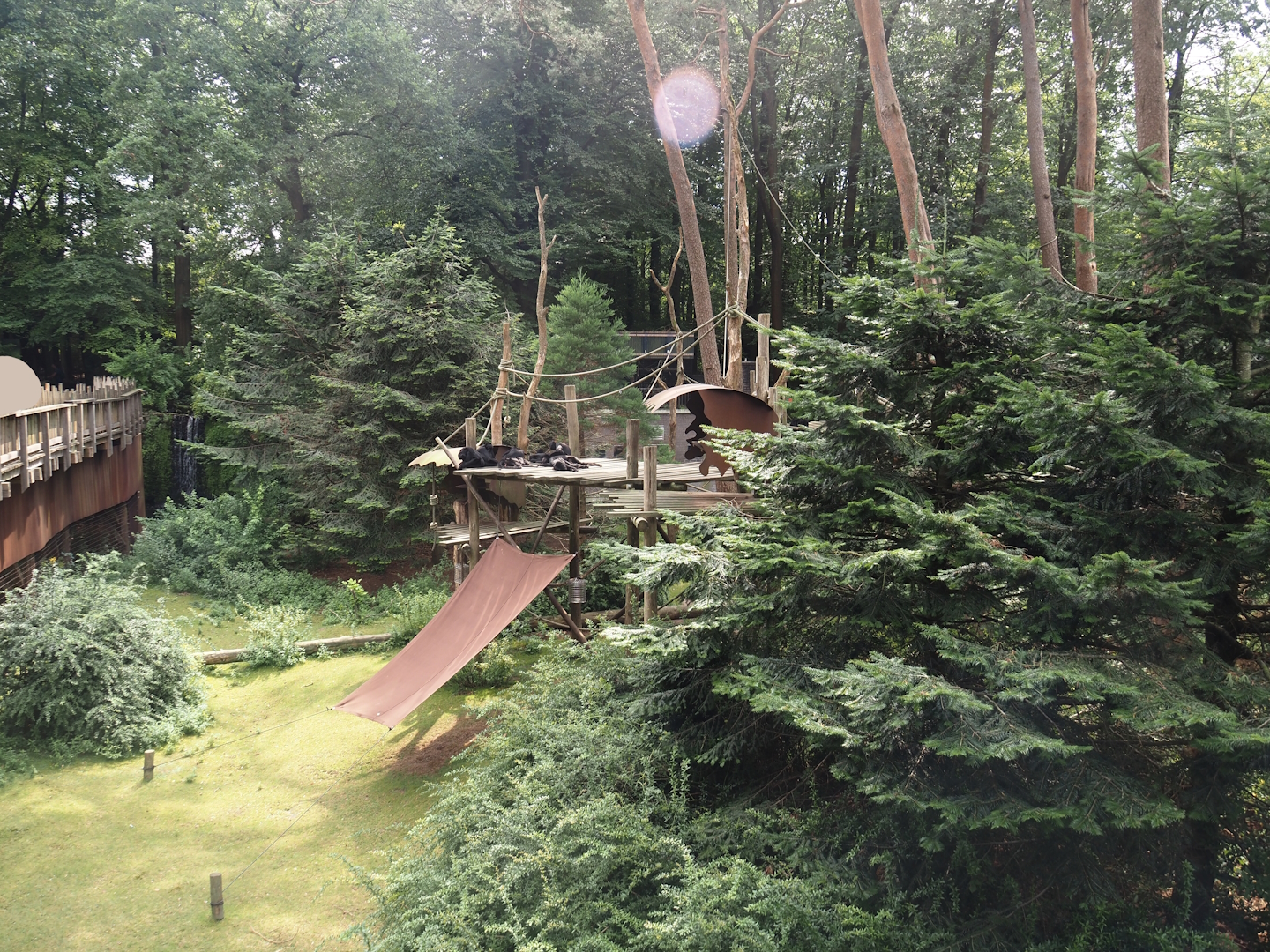 Colombian black spider monkey and Capybara exhibit, 2024-08-18