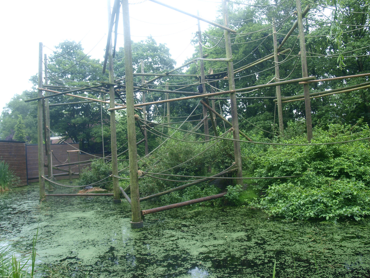 Colombian black spider monkey and Crested screamer island, 2015-07-19