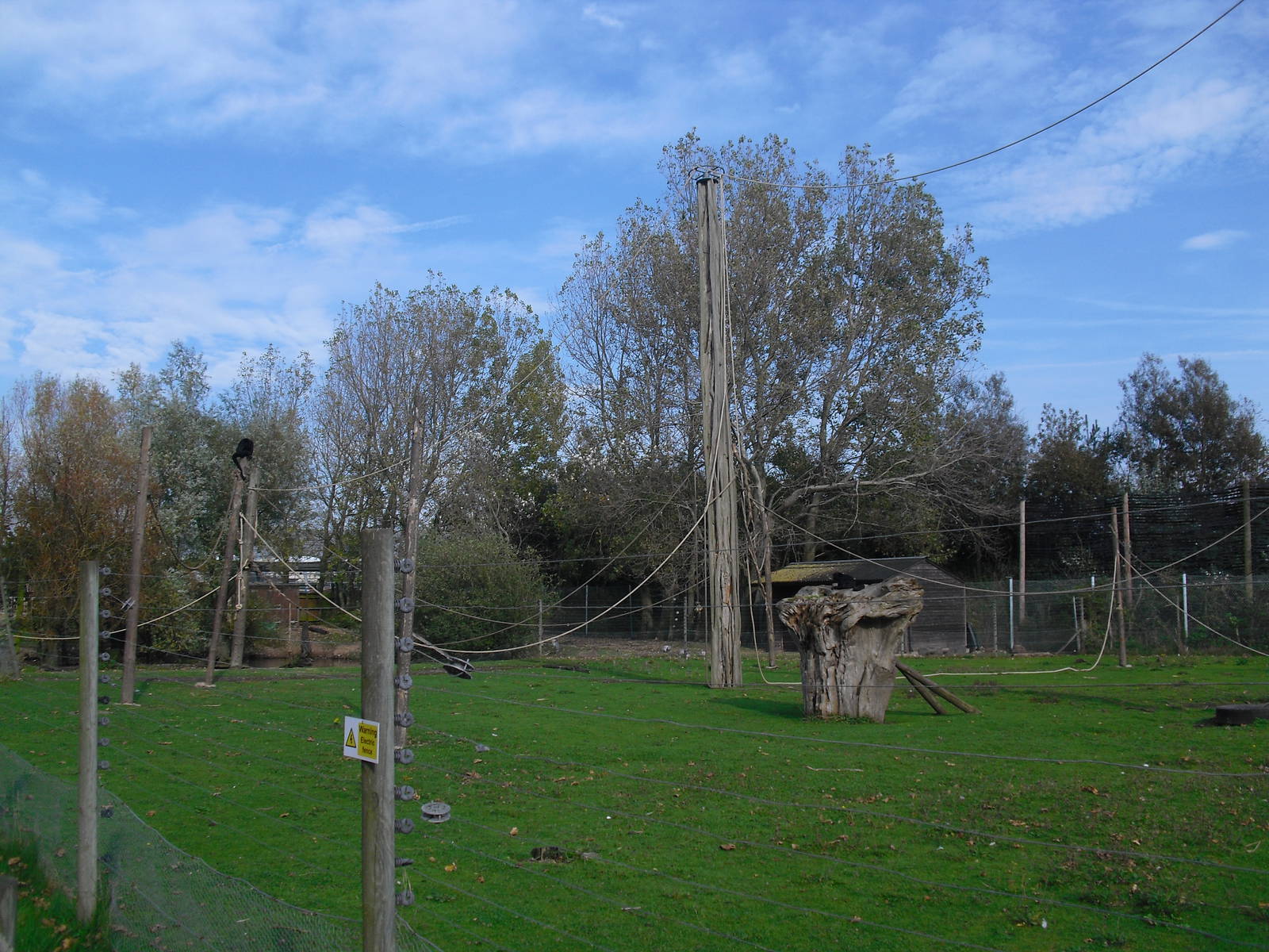 Colombian Black Spider Monkey Enclosure - 01/10/2011