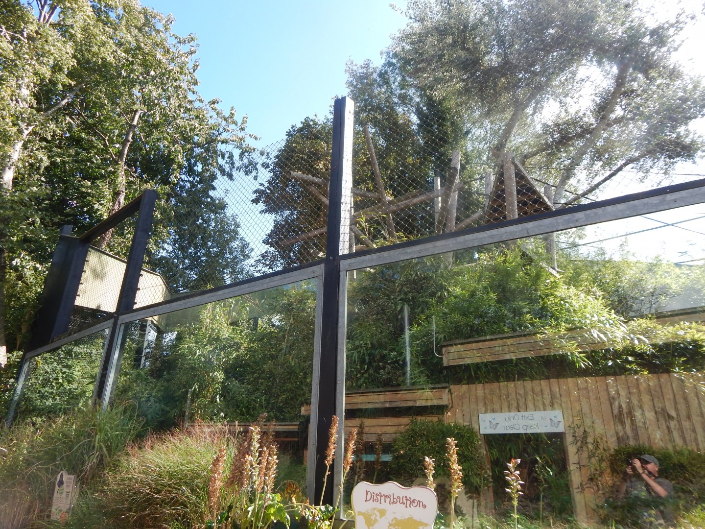 Colombian black spider monkey enclosure 110925