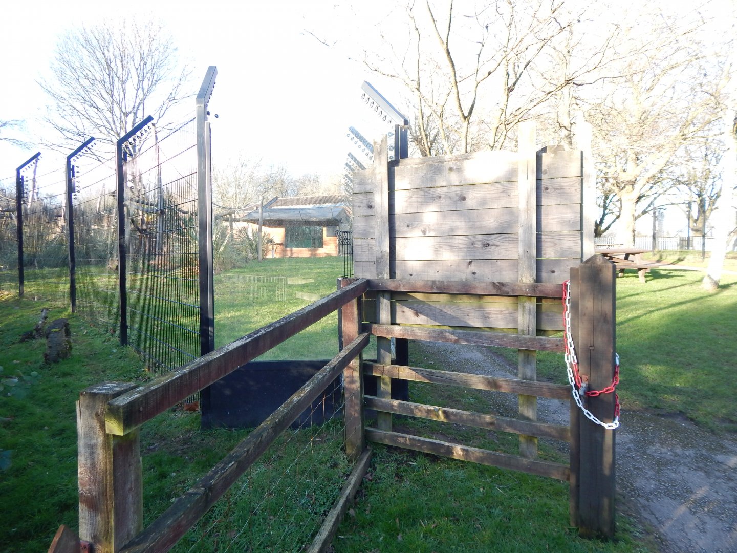 Colombian black spider monkey enclosure 260124