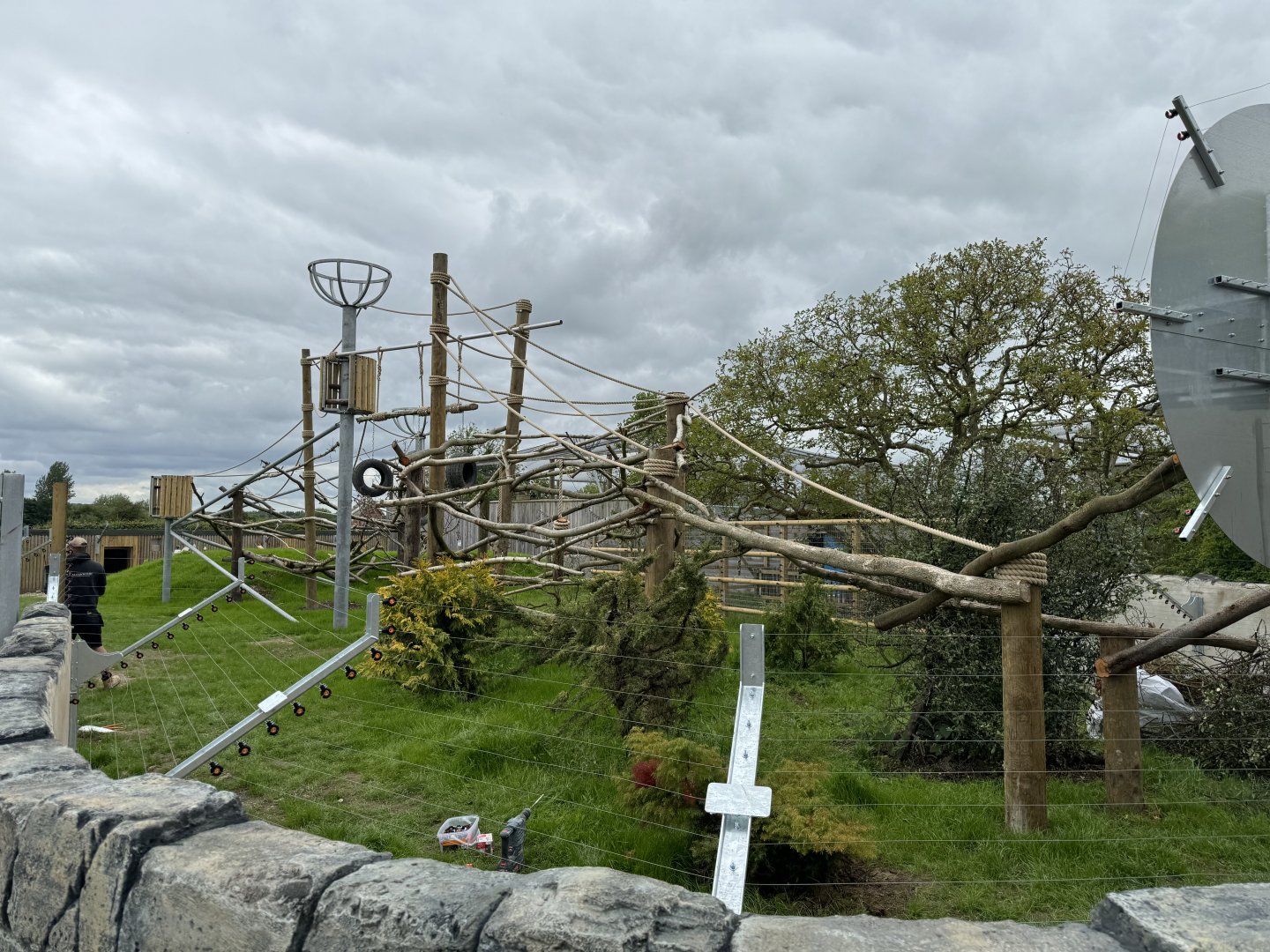 Colombian Black Spider Monkey Enclosure at Woodside Wildlife Park (May 2024)