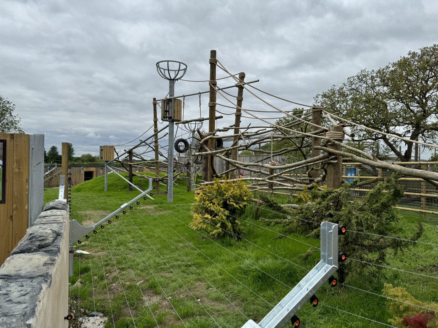 Colombian Black Spider Monkey Enclosure at Woodside Wildlife Park (May 2024)