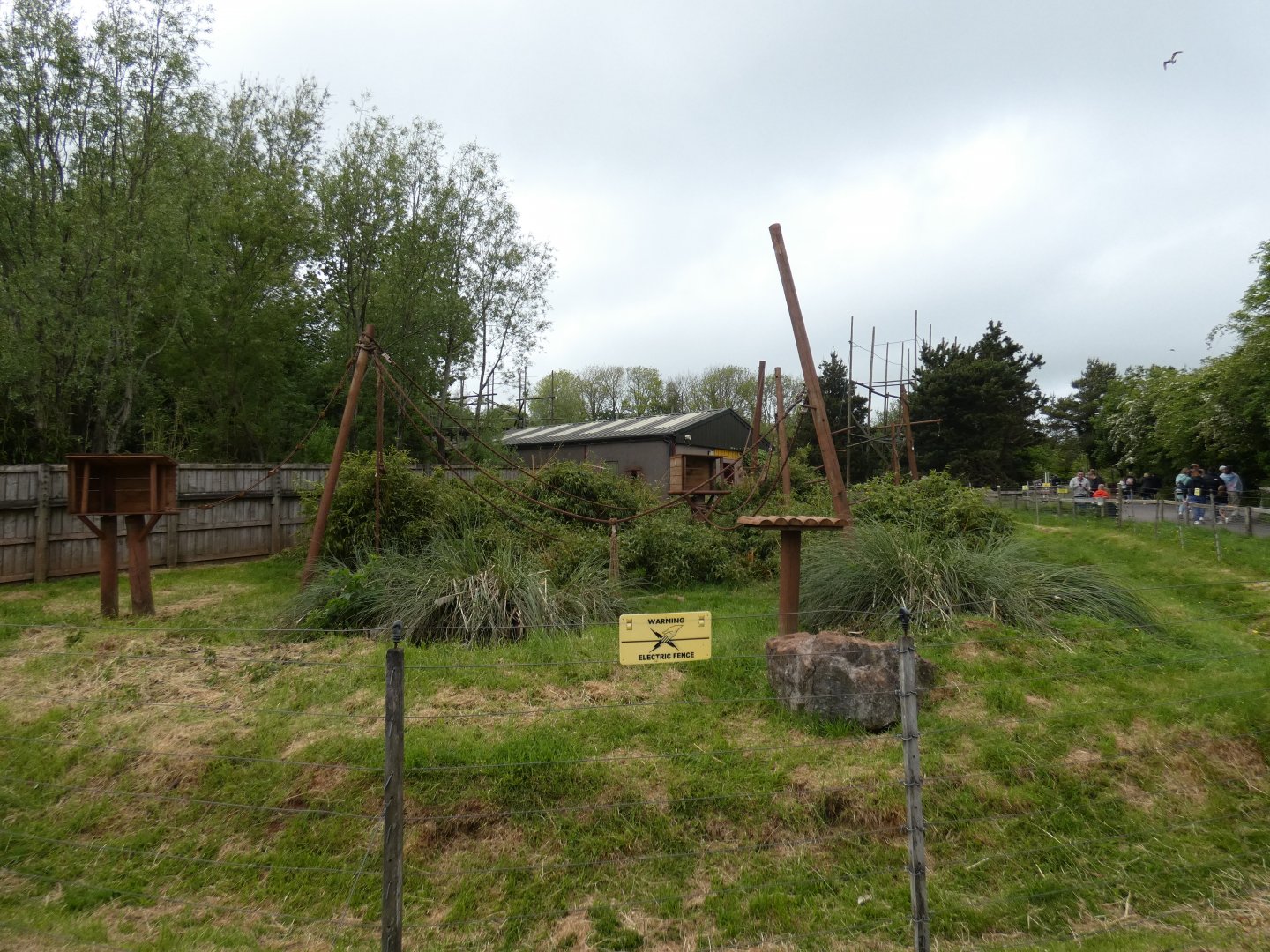 Colombian black spider monkey enclosure
