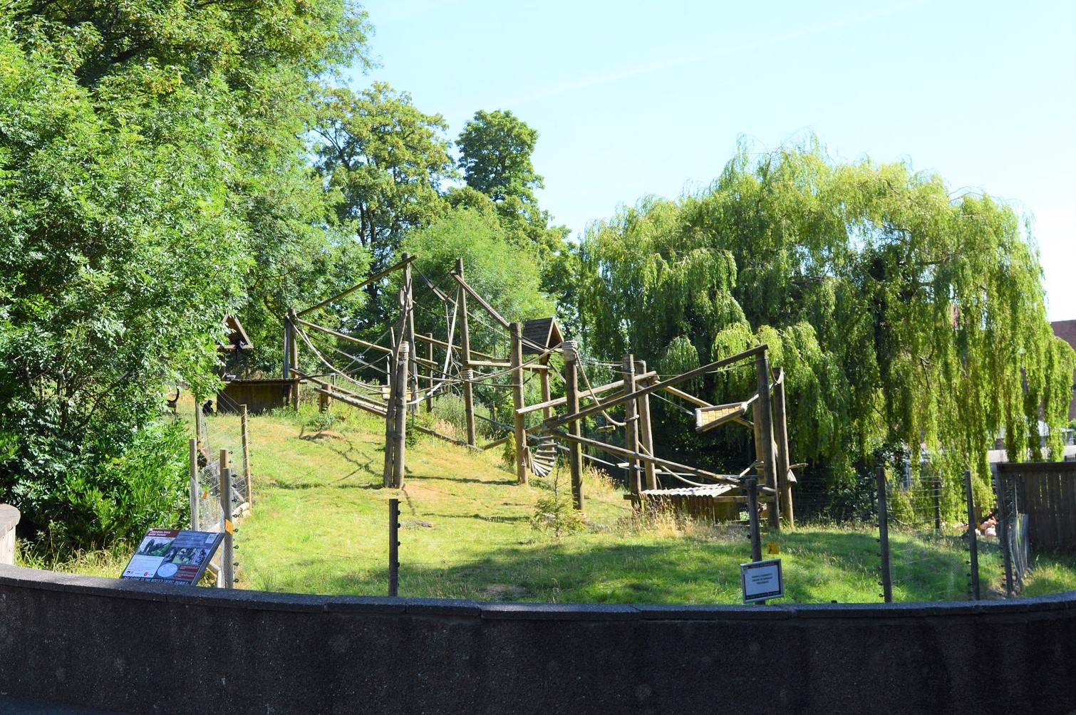 Colombian black spider monkey enclosure