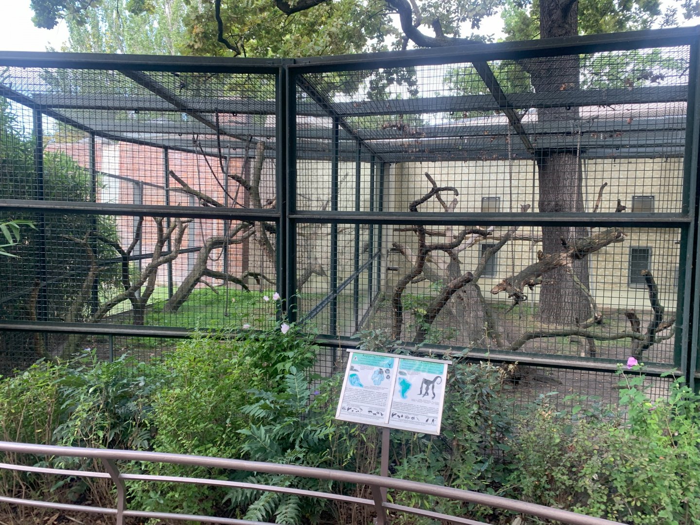 Colombian Black Spider Monkey enclosures