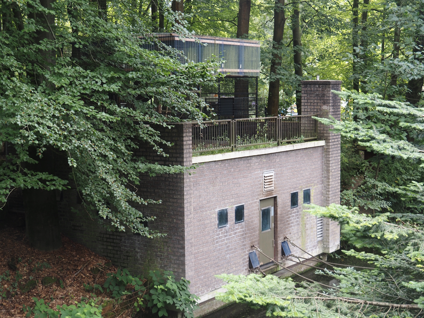 Colombian black spider monkey house and separation cage, 2024-08-18